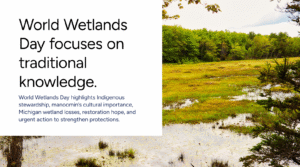 World Wetlands Day focuses on traditional knowledge and stewardship