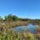 Where Do We Stand on the 50th Anniversary of the Clean Water Act?