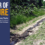 A River of Manure: CAFO Sewage Runoff Threatens Water Systems