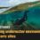Getting to the bottom of it: Marine sanctuaries and preserves help protect bottomlands