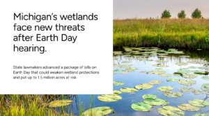 Michigan’s wetlands face new threats after Earth Day hearing